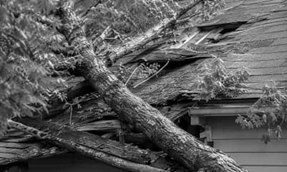 Storm damaged vacant home sale Tuscaloosa Sell storm-damaged vacant house Tuscaloosa